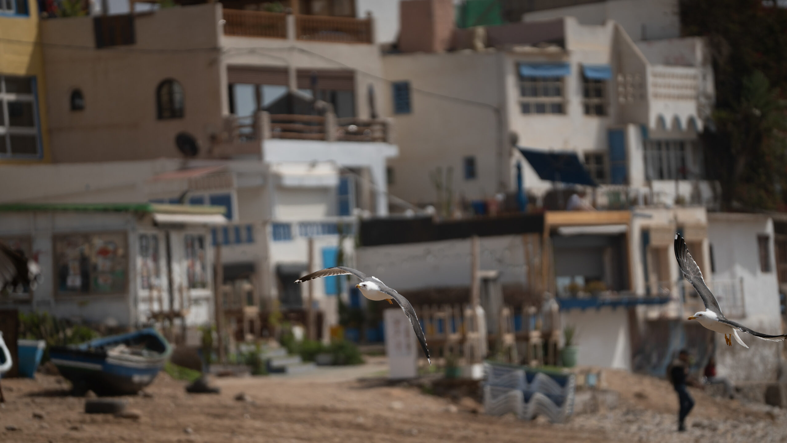 Morocco Taghazout